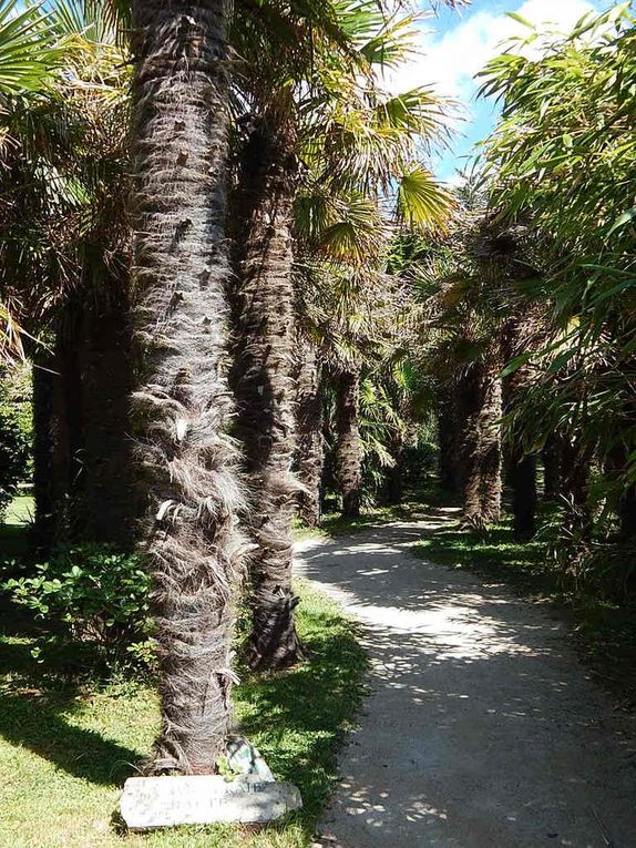 Cotentin: Le Jardin botanique de Vauville