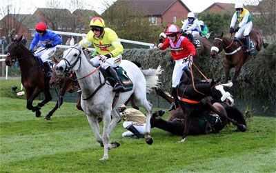 26 fervier 2019 / Auteuil 