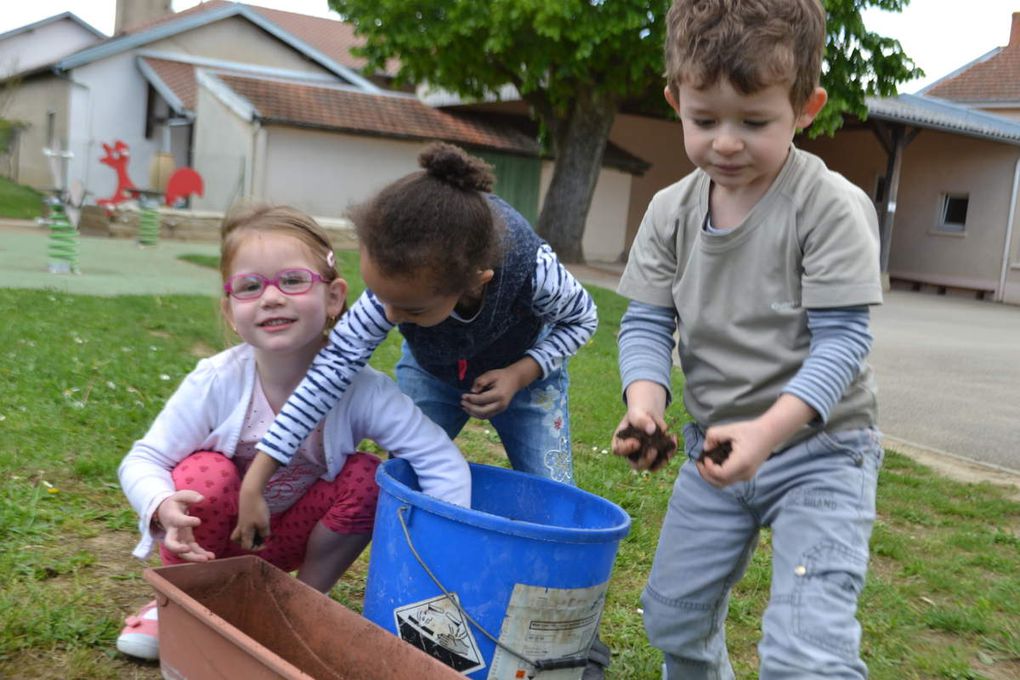 Les Petits et Moyens : p'tits jardiniers 