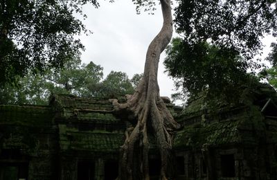 Angkor sur la route