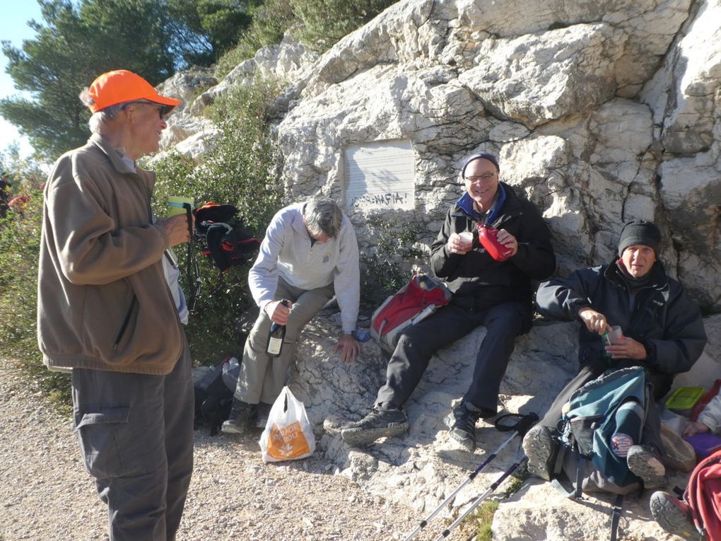 picnic