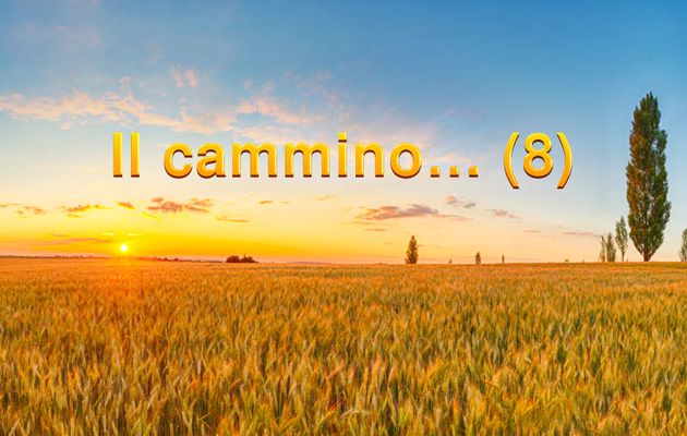 Il cammino… (8)