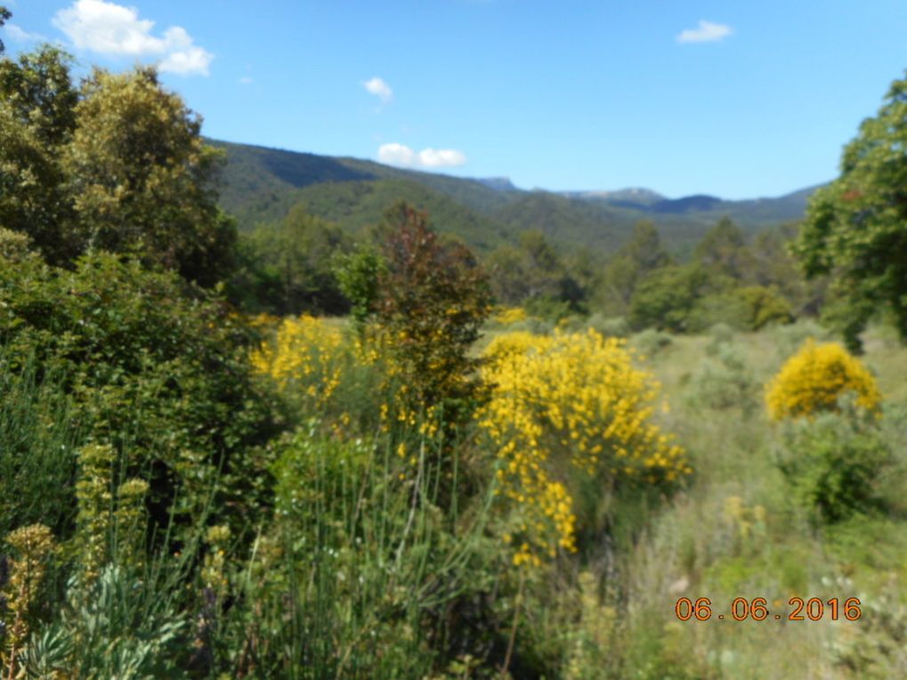 De Nans les Pins, la Mantelette, les Sources de l’Huveaune