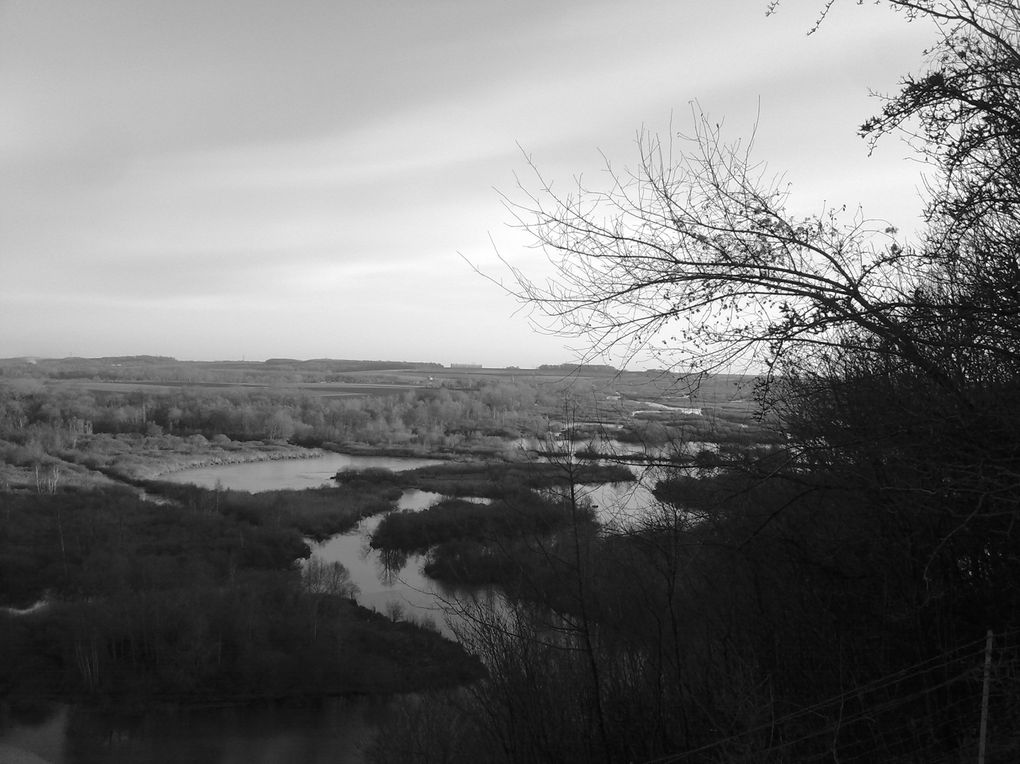 La vallée de l'Ancre, dans la Somme.
Photos de janvier 2011 (celles en noir et blanc), puis de mi-février de la même année.