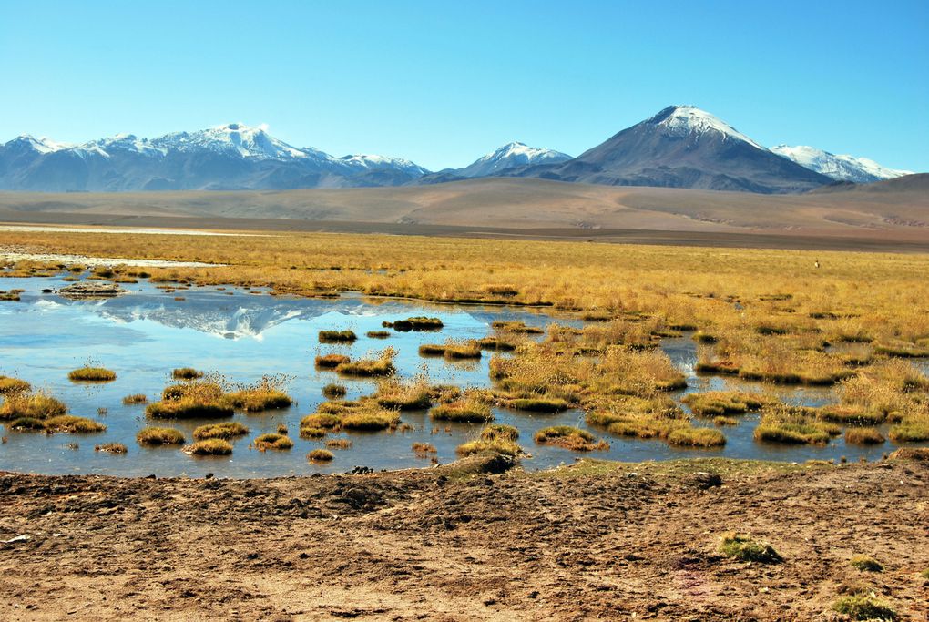 Album - San-Pedro-Atacama