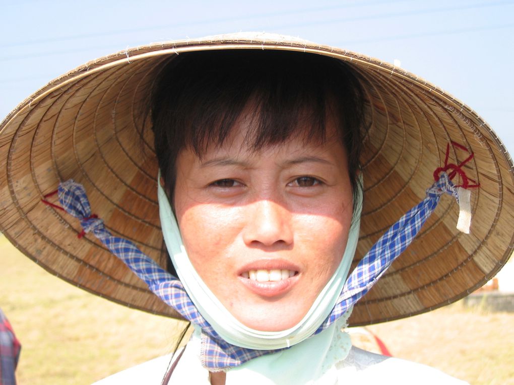 le viet nam est un pays très diversifié de part sa forme allongé et surtout côtier et nous pouvons toujours sentir une différence entre le nord et le sud