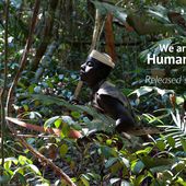 WE ARE HUMANITY the Jarawa documentary