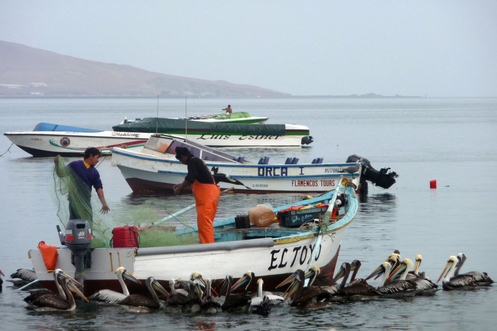 Avec Nath, decouverte durant un mois du pays des incas !!!
Lima, Paracas, Ica, Huacachina, Nasca, Cusco, Machu Pichu, Arequipa et lac Titicaca ... de quoi s'occuper dans ce beau pays