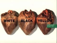 La communication de benetton à travers la publicité et les affiches!