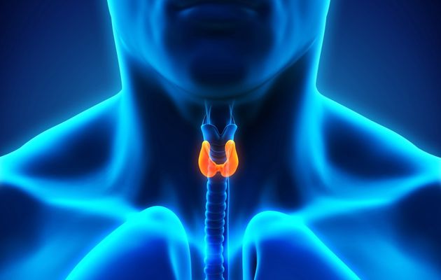 Diversification de l’offre thérapeutique pour les patients souffrant de troubles de la thyroïde