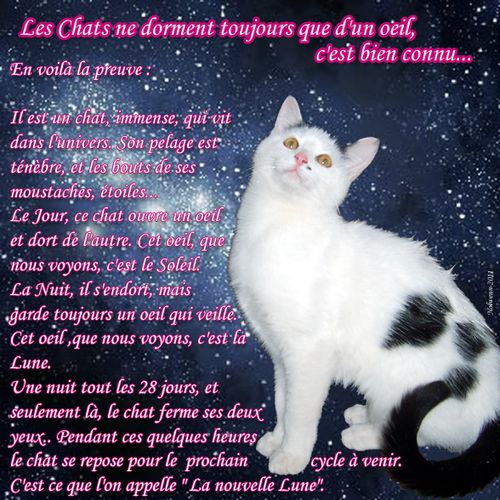 La Toile A Nolwenn