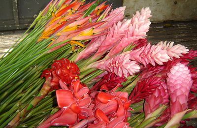 Un bouquet de fleurs polynésiennes