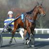 résultat quinté de pau 2 1 3 8 5 - demain vincennes prix moni maker trot attelé 15 chevaux 2700 mètres départ à 15h08