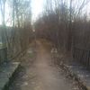 Tombent les arbres sur des chemins de la commune… mais qui les ramasse ?
