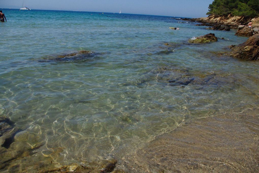 plage, mer, coucher de soleil, vacances