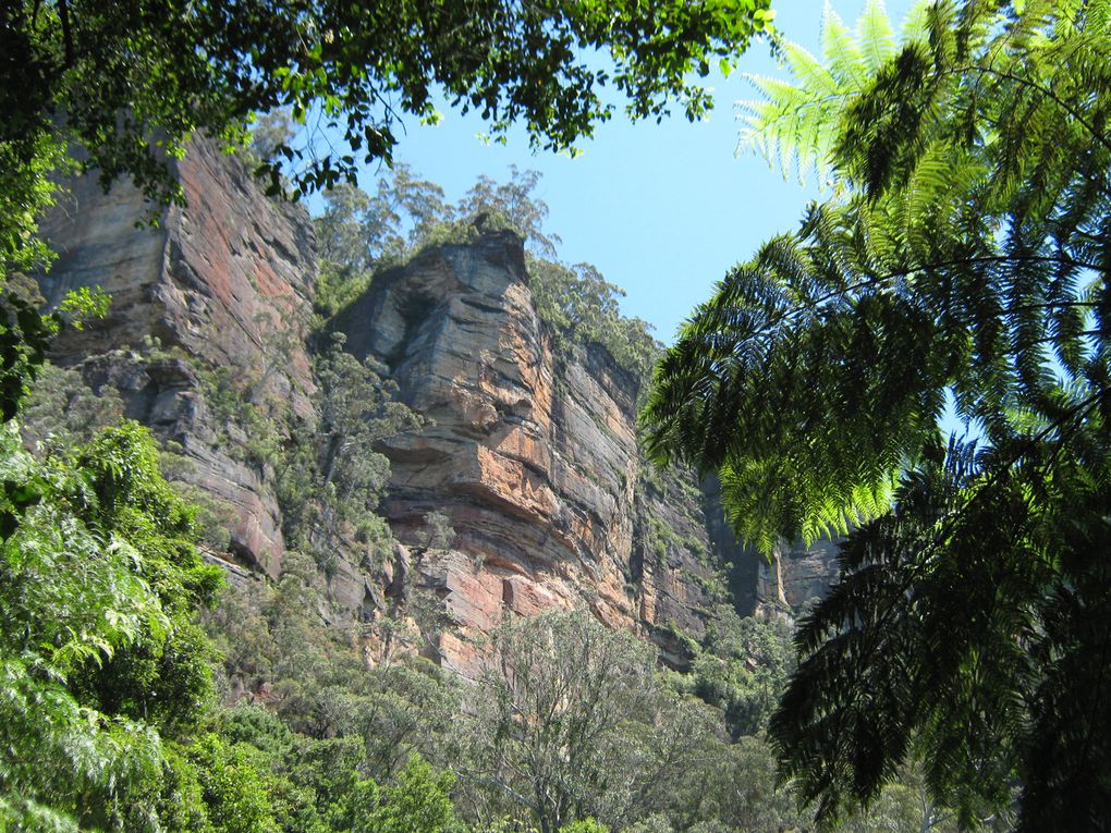 Album - sydney-et-blue-montains