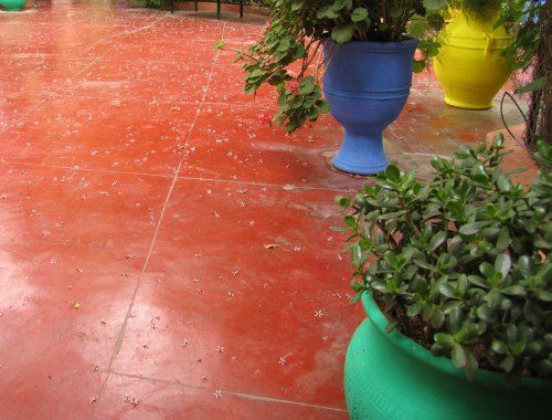 Le Jardin Majorelle et ses merveilleuses couleurs (même sous la pluie)