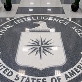 Un ex-informaticien de la CIA condamné à 40 ans de prison pour fuite massive sur WikiLeaks