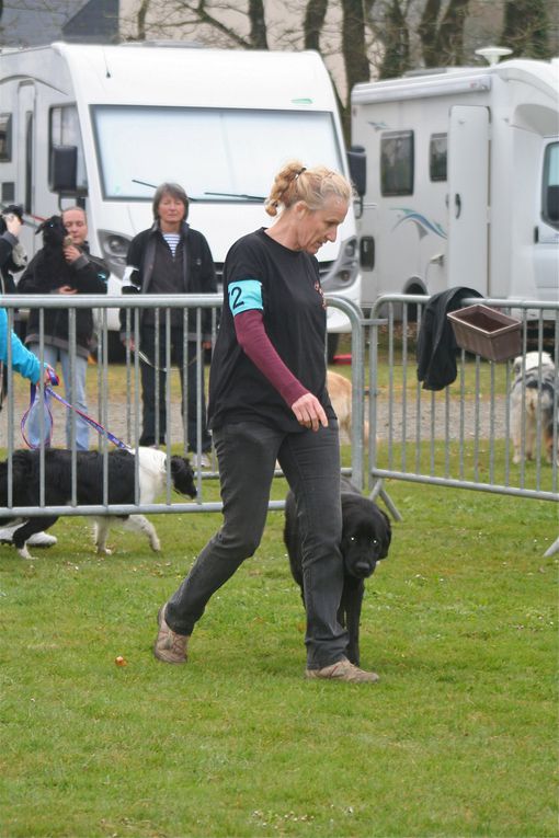 Album - Concours-Agility-La-Martyre-2012--1--partie