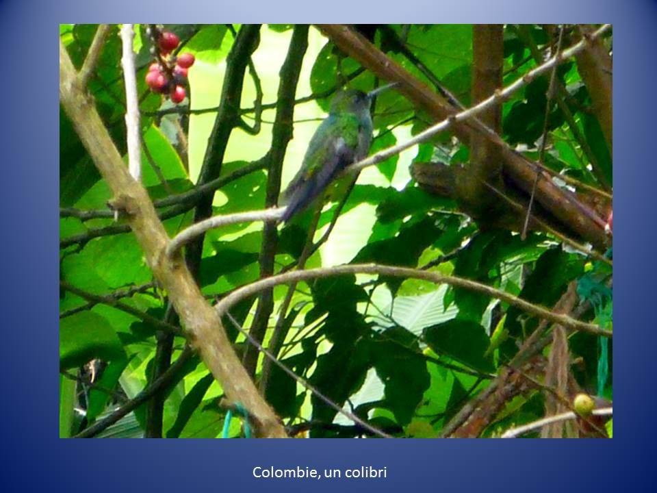 Cahier de bord : la Colombie, Santa Marta