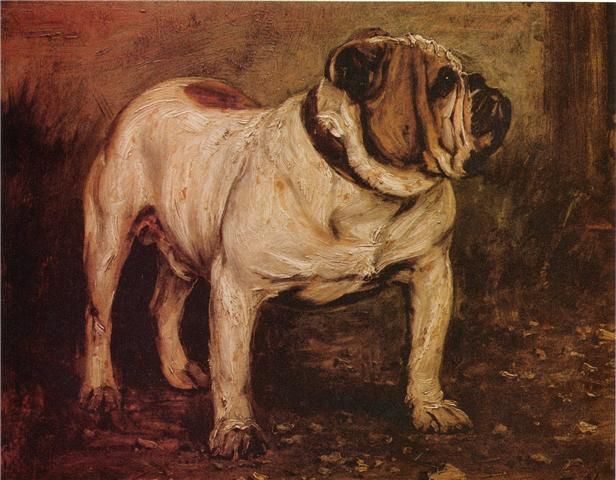 Album - Old-pics Bulldogs