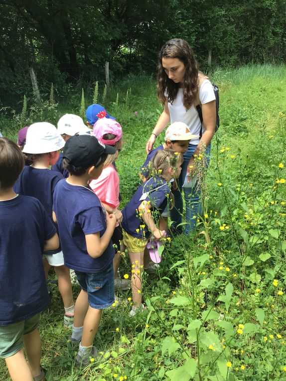 Sortie des GS à Trotte Lapin