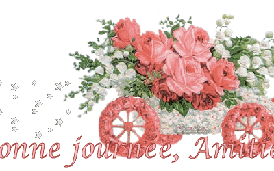 Résultats des sondages pour nouveau blog