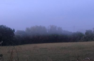 Ce matin 