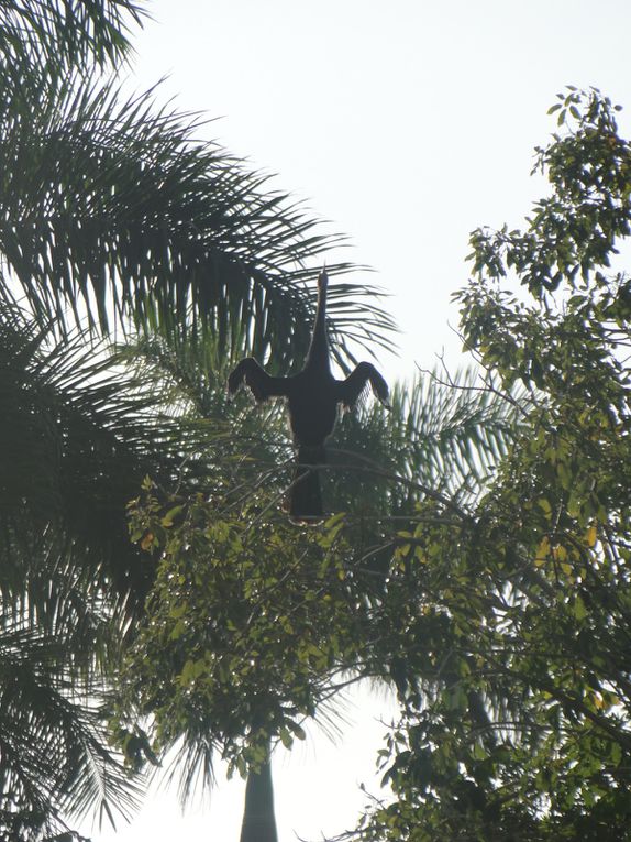 Album - Cuba-La-Guama