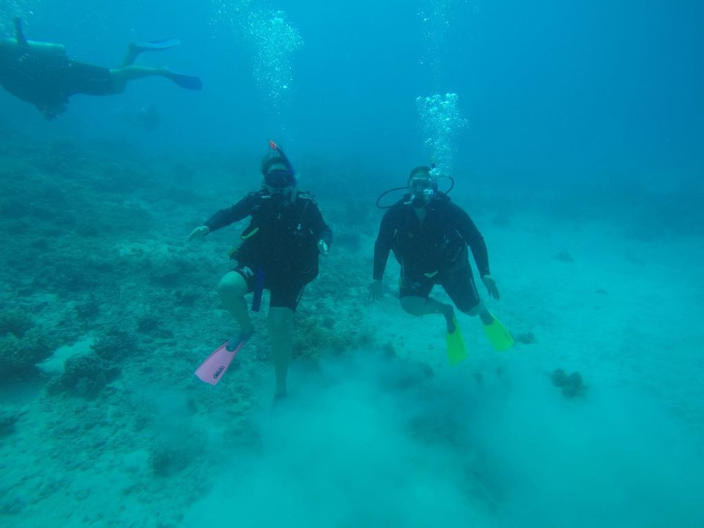 Sortie sur la grande barrière de corail