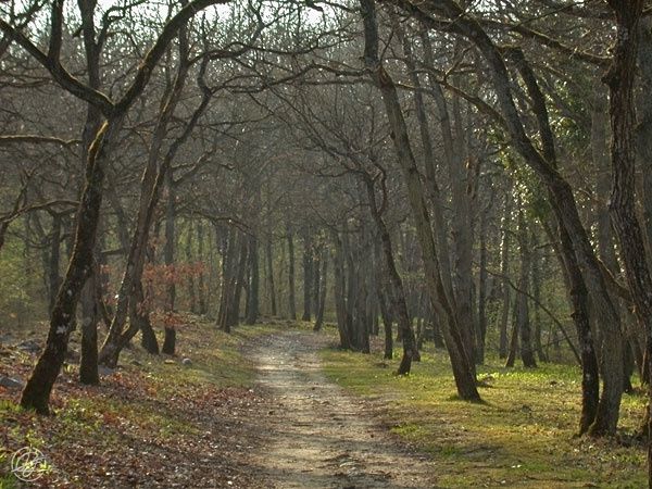 Petite balade en Essonne un samedi après midi.