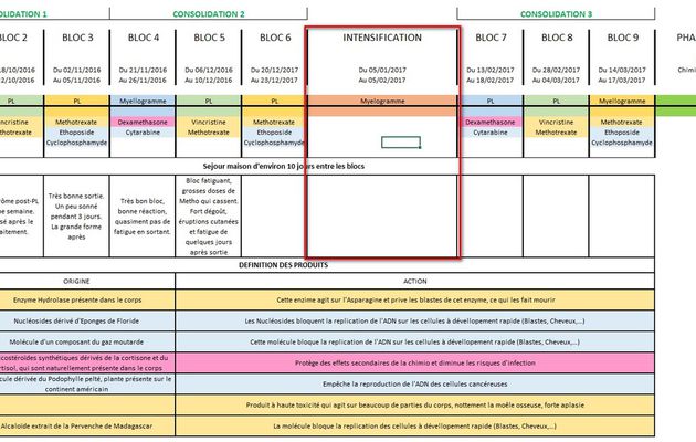 Bloc d'intensification retardée (1 mois à l'hôpital)