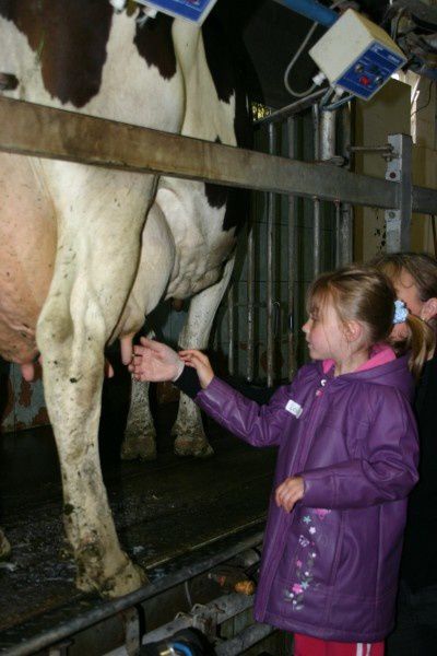 Album - visite à la ferme