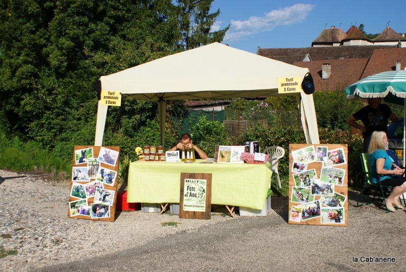 Album - Verthemex, Lavours 2012