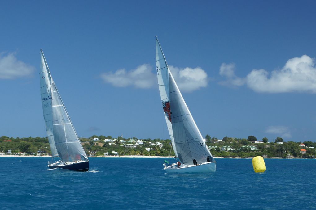 Album - Trophée-Open-Voile-de-St-Francois-2011