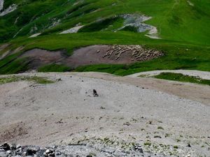 Pic du Mas de la Grave, un 3000 à vélo !