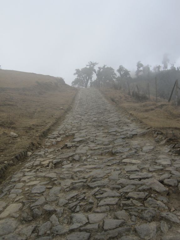 Album - INDE--Darjeeling---Treck