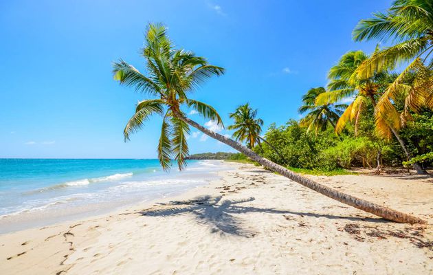 Passez le meilleur des séjours en Martinique