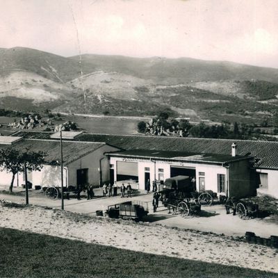 MONTALBA-LE-CHATEAU (Pyrénées-Orientales)