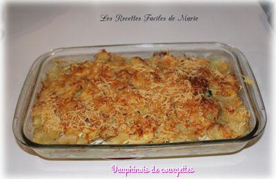 DAUPHINOIS DE COURGETTES