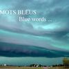 blue words ...