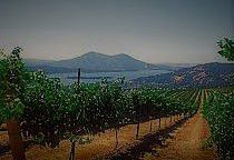 #White Blend Wine Producers Lake County California Vineyards 