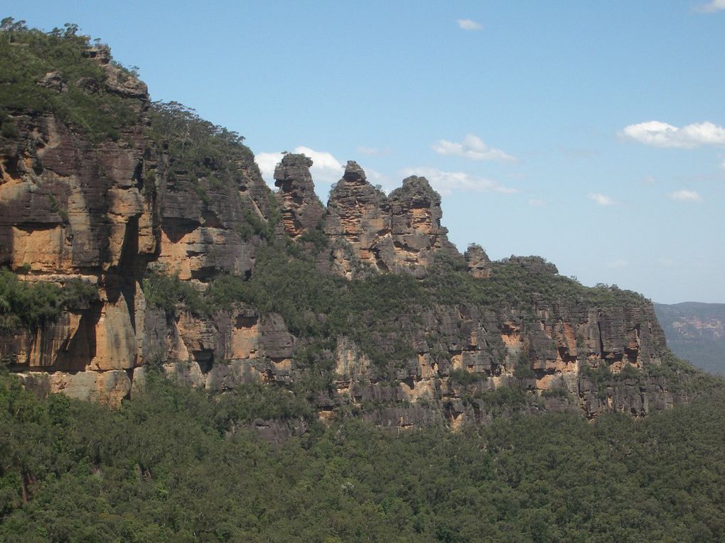 Album - The-Ultimate-Oz-Experience---Sydney + Blue Mountains