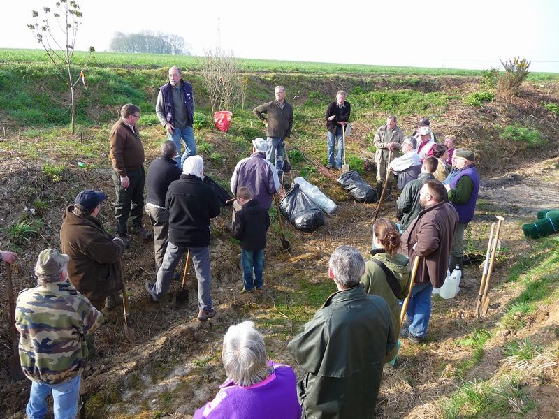 Les Vadrouilleux et chasseurs plantent des arbustes dans la cavée d'Embreville