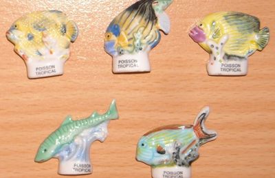 Les poissons tropicaux