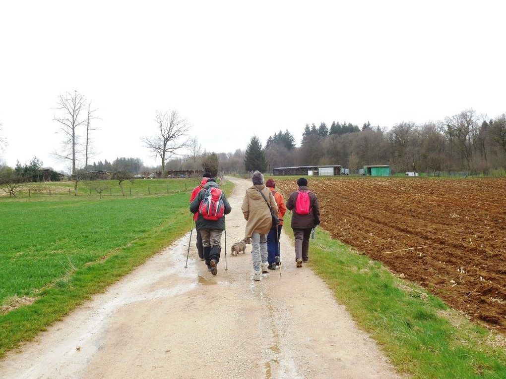 Rando Santé® : de Combles vers le chemin des poètes