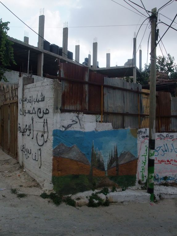 Les deux camps de réfugiés proches de Ramallah où je donne des cours de Français et leurs alentours (Jifna, pres de Jalazon) / The two refugee camps near Ramallah where I give French classes and around (Jifna close to Jalazon)