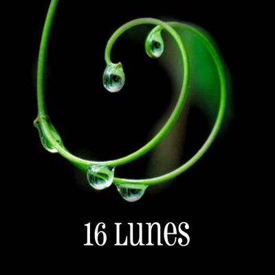 16 lunes, de Kami Garcia et Margaret Stohl