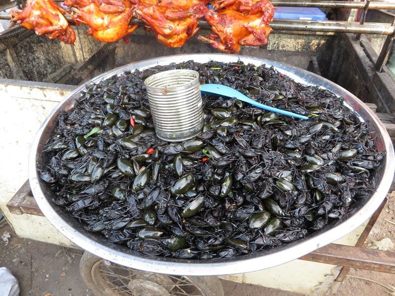 ...où nous avons goûté aux insectes!... pas mauvais du tout (en prenant soin d'oter les ailes!), une saveur de crevette grillée