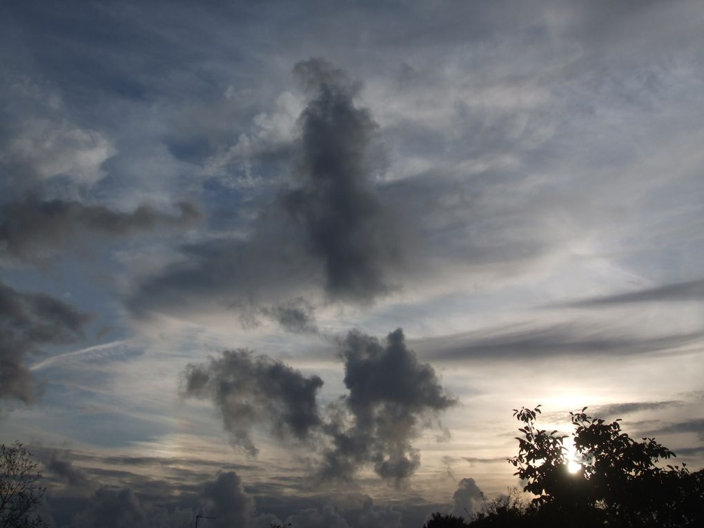 J'aime regarder le ciel. Son immensité me rassure. Sa beauté et ses couleurs m'inspirent, me font réfléchir, rire ou même sourire. J'associe le ciel aux oiseaux, aux rêves, à l'inconnu et à l'espoir. En figeant quelques clichés, j'ai l'impre